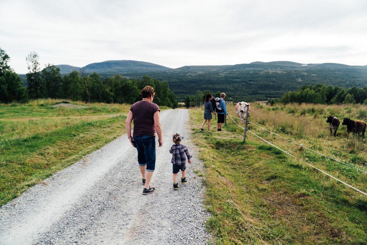 Funaes Ski Lodge Funäsdalen Екстериор снимка